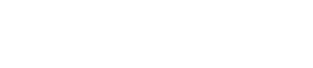 NAPI169 Neon Logo
